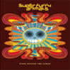 Super Furry Animals